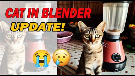 Saw the cat in blender video cant get it out of my mind